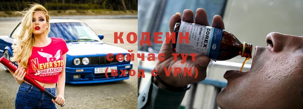 прущая мука Вяземский